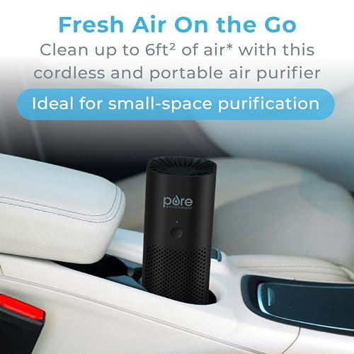 Best Car Air Purifiers Review