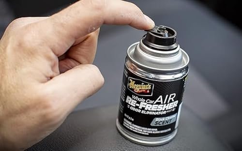 Best Air Fresheners For Smokers Cars