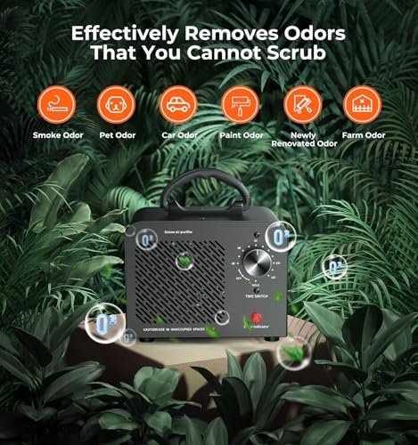 Best Ozone Generators For Car Smell