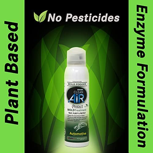 Best Mold Removers For Car Interiors
