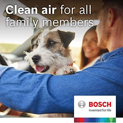 Best Cabin Air Filters For Allergies