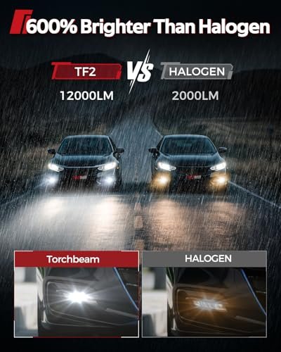 Best Fog Light Bulbs For Cars