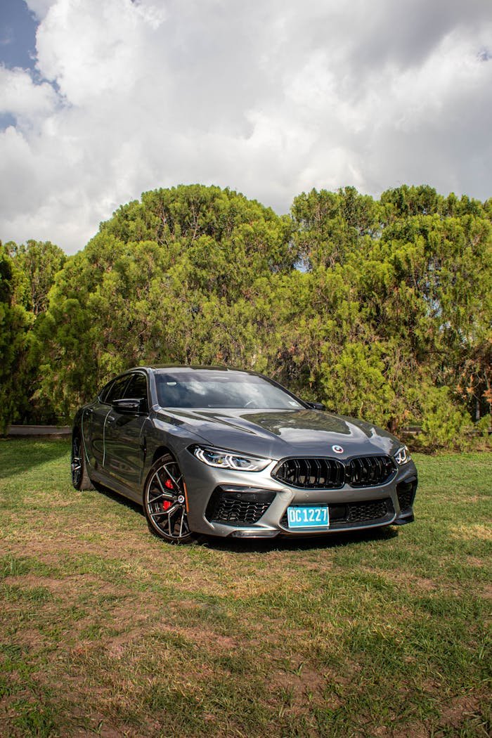 A sleek dark gray sports car parked on grass with trees in the background.