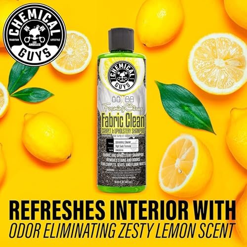 Best Carpet Cleaners For Car Interiors