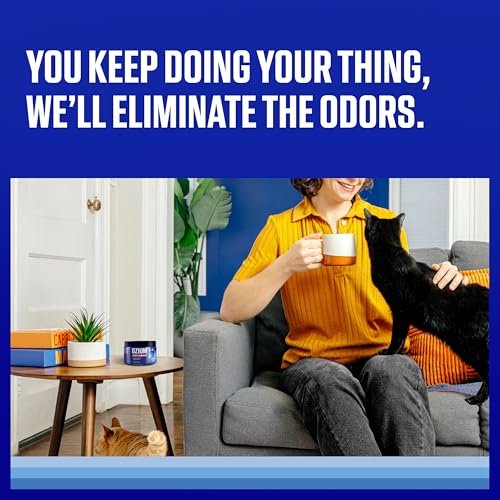 Best Smoke Odor Removers For Cars