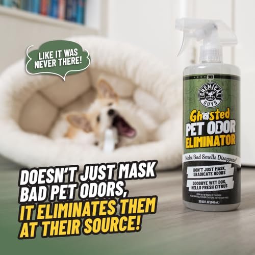 Best Pet Odor Removers For Car Interiors
