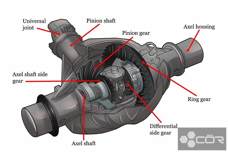 What Is Differential Fluid and When Does It Need Changing? Complete Guide